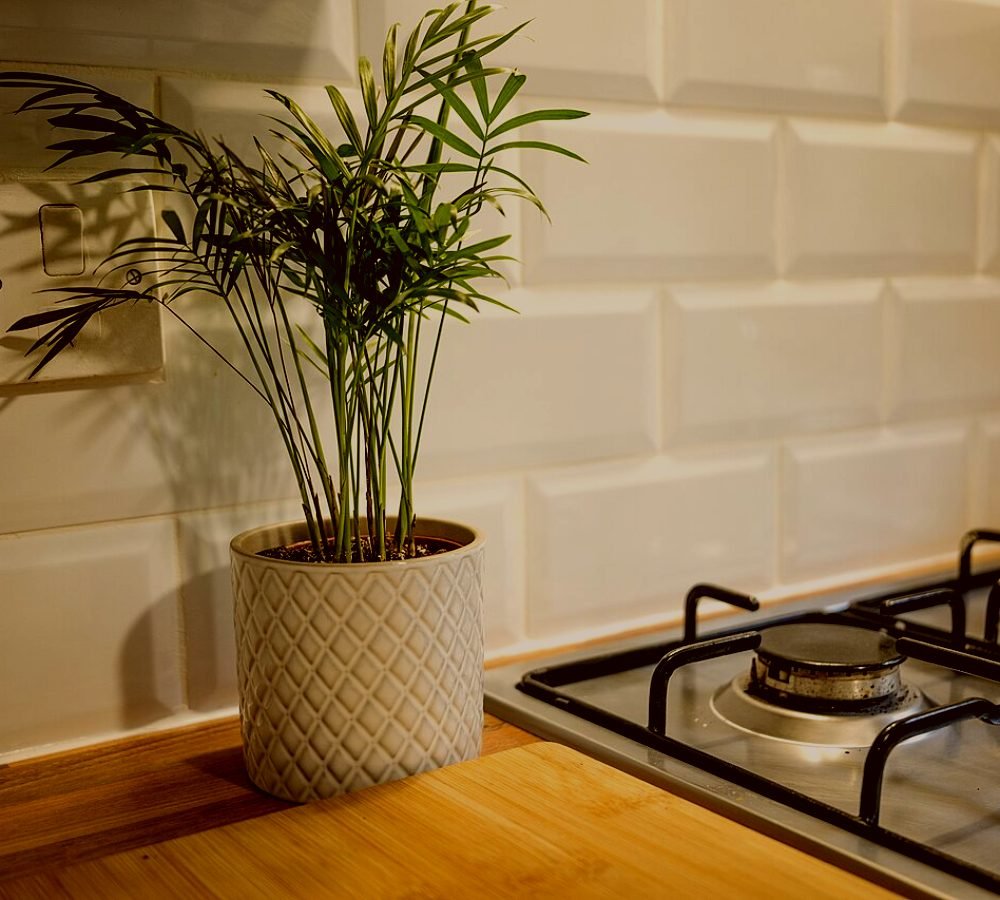A tidy kitchen hob kept in good order under an annual maintenance plan